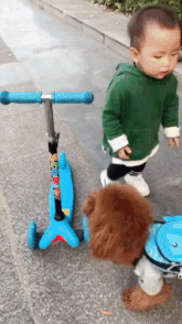 animais para crianças - crianças brincando com cachorro