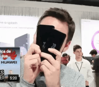 giphy.gif