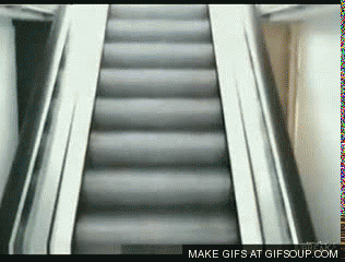 Escalator GIF - Find & Share on GIPHY