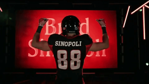 Sinopoli