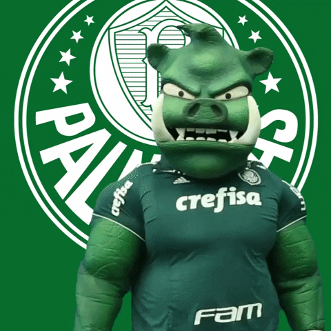 Fight Gobbato GIF by SE Palmeiras