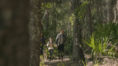 A family walking in woods. 