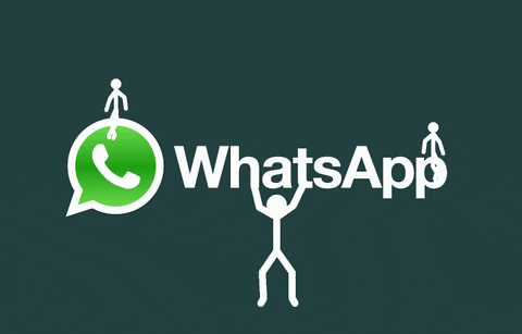 compartir gif por whatsapp