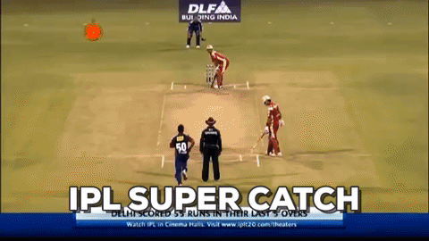 IPL Catch in ipl gifs