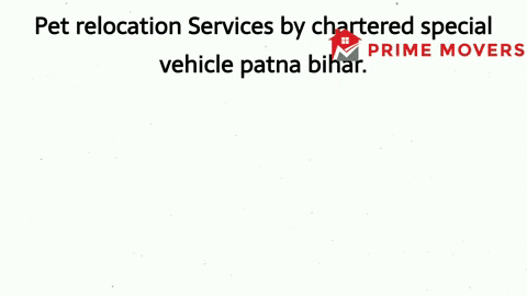 Pet transport service Patna