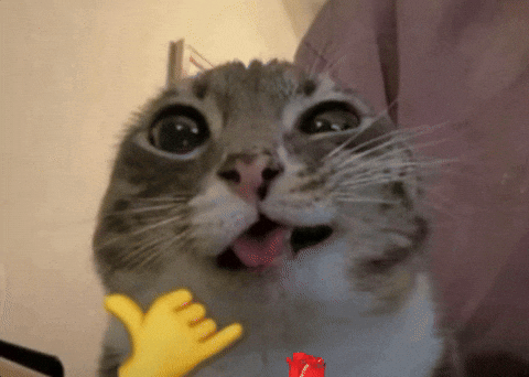 Naugthy Cat