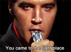 GIF of Elvis singing "you came to the right place"