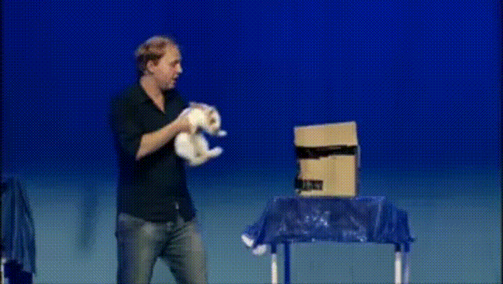 Trick GIF Find Share On GIPHY Trick GIF Find Share On GIPHY