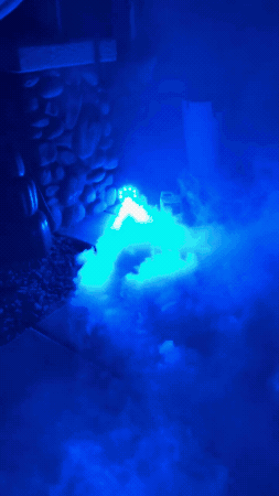 GIF