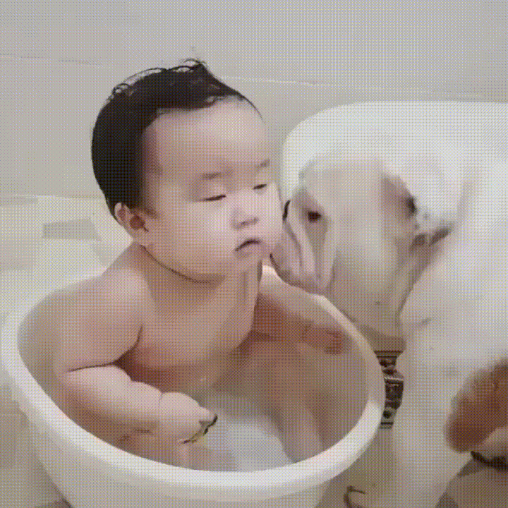 dog baby tongue moment bath