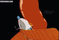 giphy.gif