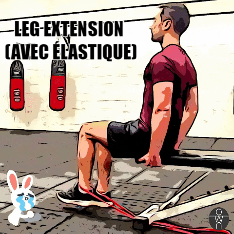 Leg extension : exercice reproduit sur un banc de musculation par notre coach privé Ownsport !