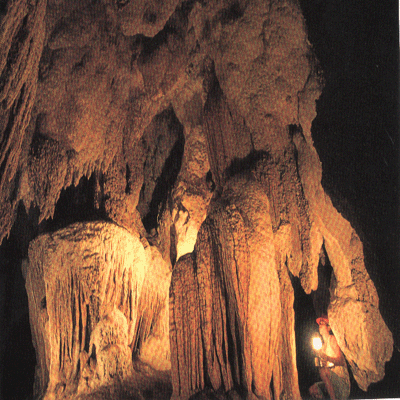 Cave GIF - Find & Share on GIPHY