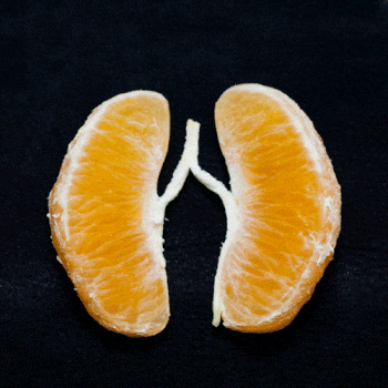 Eat these foods to aid in your lung cleanse.