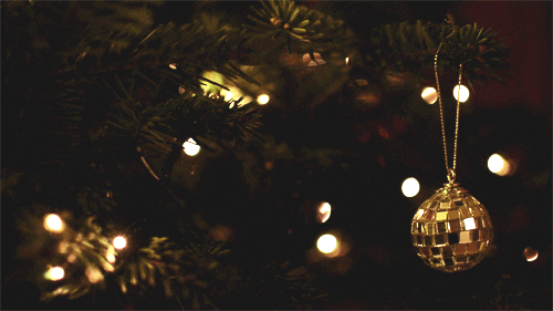 christmas christmas tree christmas lights