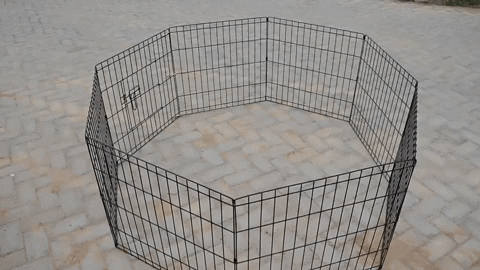 foldable metal playpen for dogs