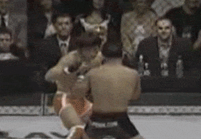 Mma GIF - Find & Share on GIPHY