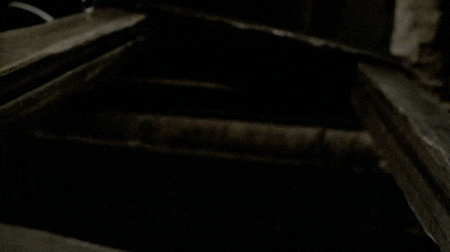 giphy.gif?response_id=5920218b8f9e0c0ac2c28271