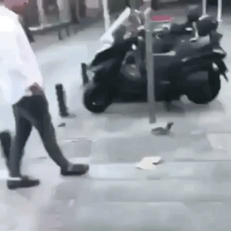 Guy tried to kick pigeon in funny gifs