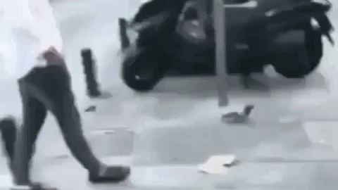 Guy tried to kick pigeon