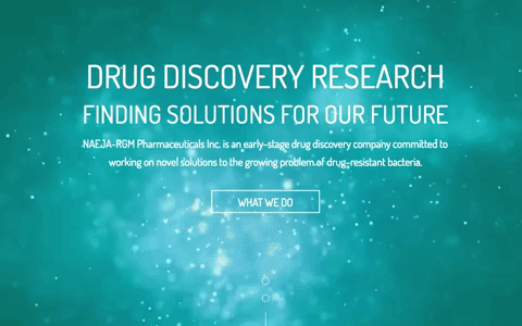 A screen shot of the NAEJA-RGM homepage containing white script on a teal background with white moving particles