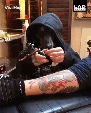Good boi become tattoo artist in funny gifs