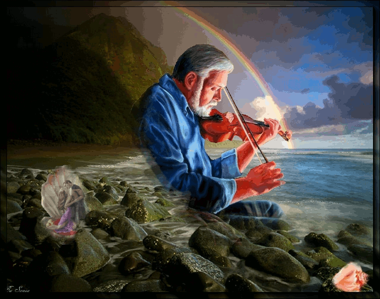 Violin GIF Find & Share on GIPHY