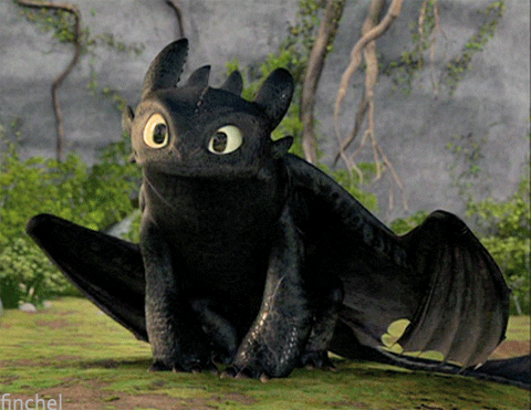 Image result for toothless dragons gif
