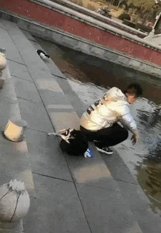 Catching fish for the cat in cat gifs