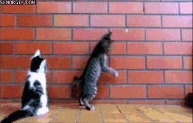 Green Dot GIFs - Find & Share on GIPHY