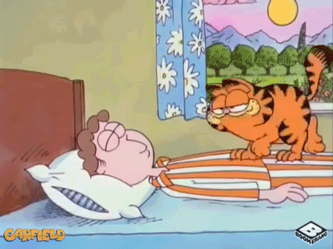 Garfield trying to wake his owner, Jon, up