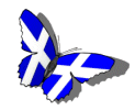 Scottish butterfly