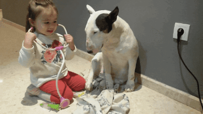 Little girl using a stethoscope on a dog