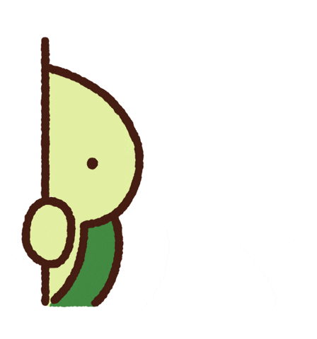 Turtle animation