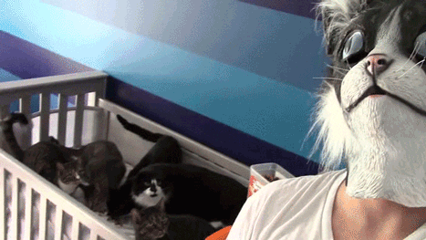 Prank GIF - Find & Share on GIPHY