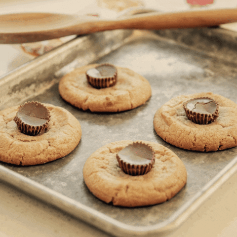Cookies Hotboxcookies GIF by BYK Digital - Find & Share on GIPHY
