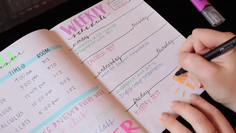 Pessoa planejando sua semana em um colorido e desenhado Planner de Papel