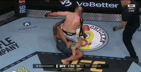 giphy.gif