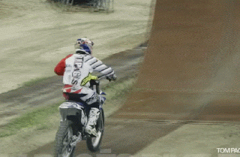 giphy.gif