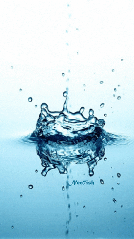 Water Drop GIF - Find & Share on GIPHY