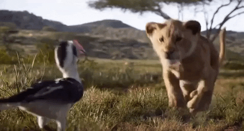 Disney weet je in te pakken met The Lion King Official Trailer
