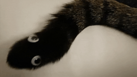 15 людей, глядя на которых сразу не поймешь, то ли они тупые, то ли гении