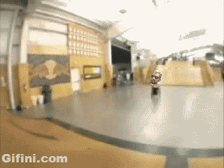 giphy.gif