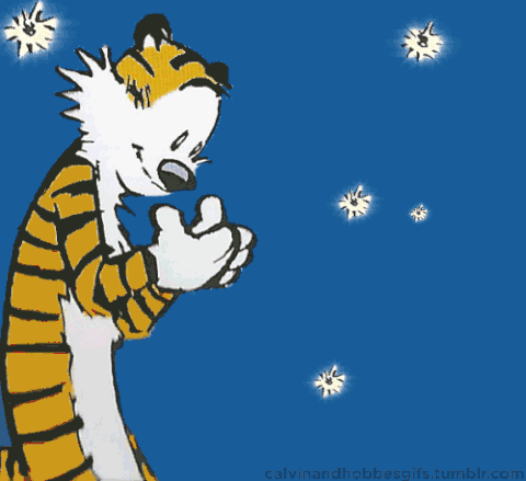 Calvin And Hobbes GIF - Find & Share on GIPHY
