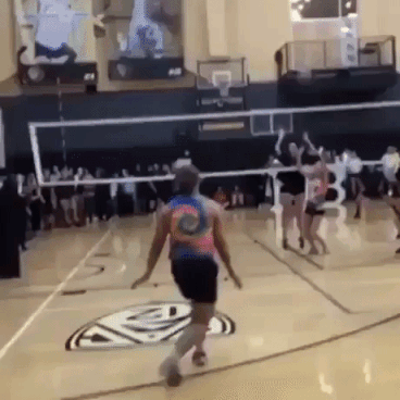 Best Volleyball Smash Ever in sports gifs