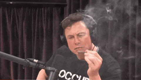 Elon Musk Smoking GIF - Find & Share on GIPHY