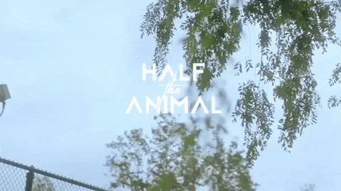 Too Late Hta GIF by Half The Animal