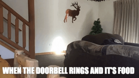 Hungry Dog GIF by A Magical Mess