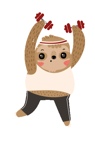 sensory sloth gym