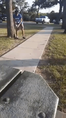 giphy.gif